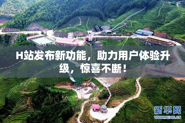 H站发布新功能，助力用户体验升级，惊喜不断！