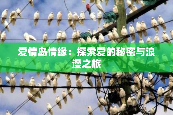 爱情岛情缘：探索爱的秘密与浪漫之旅