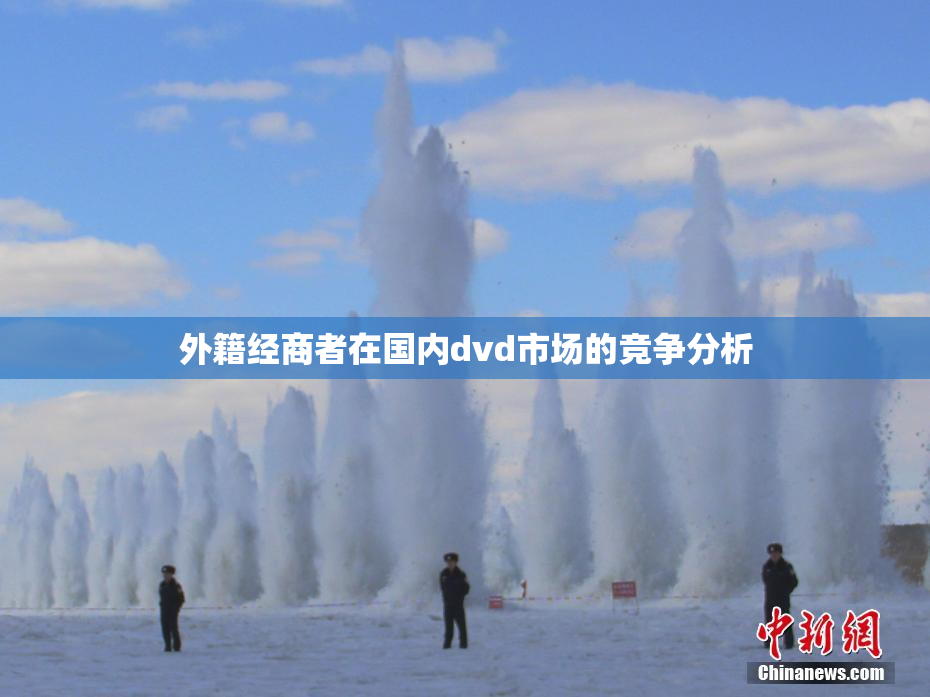 外籍经商者在国内dvd市场的竞争分析