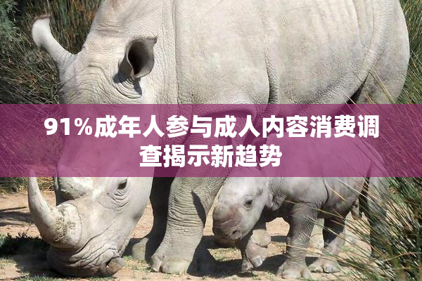 91%成年人参与成人内容消费调查揭示新趋势