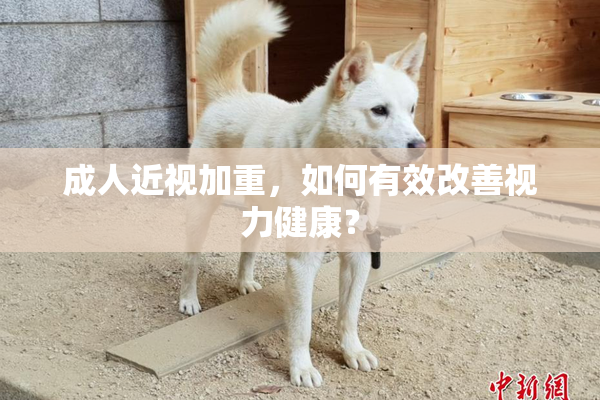 成人近视加重，如何有效改善视力健康？