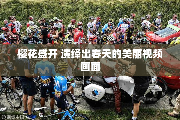 樱花盛开 演绎出春天的美丽视频画面