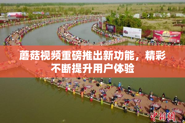 蘑菇视频重磅推出新功能，精彩不断提升用户体验