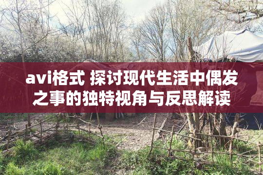 avi格式 探讨现代生活中偶发之事的独特视角与反思解读