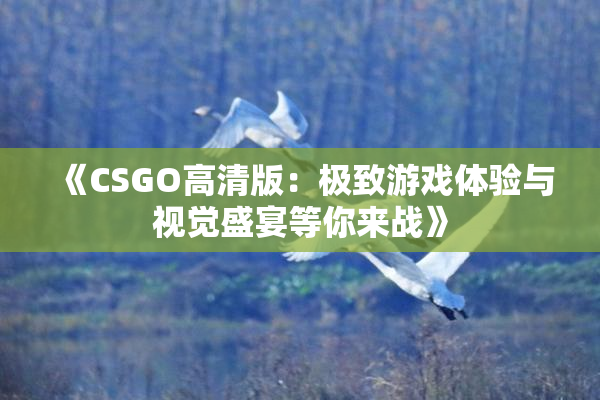 《CSGO高清版：极致游戏体验与视觉盛宴等你来战》