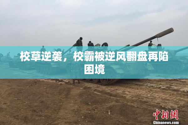 校草逆袭，校霸被逆风翻盘再陷困境