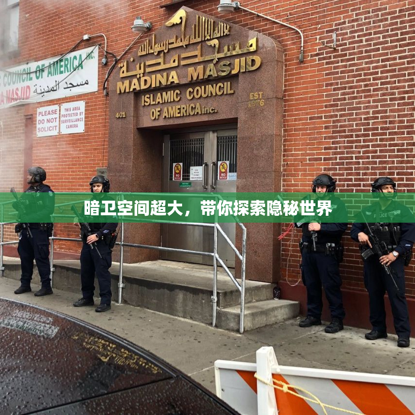 暗卫空间超大，带你探索隐秘世界