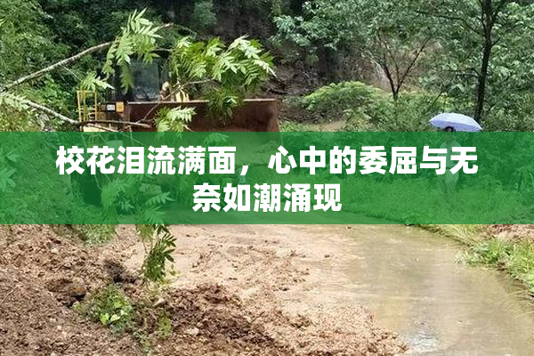 校花泪流满面，心中的委屈与无奈如潮涌现