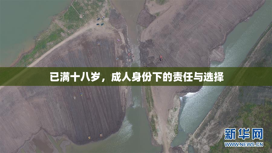 已满十八岁，成人身份下的责任与选择