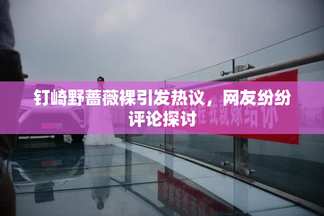 钉崎野蔷薇裸引发热议，网友纷纷评论探讨