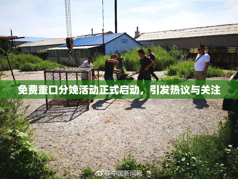 免费重口分娩活动正式启动，引发热议与关注