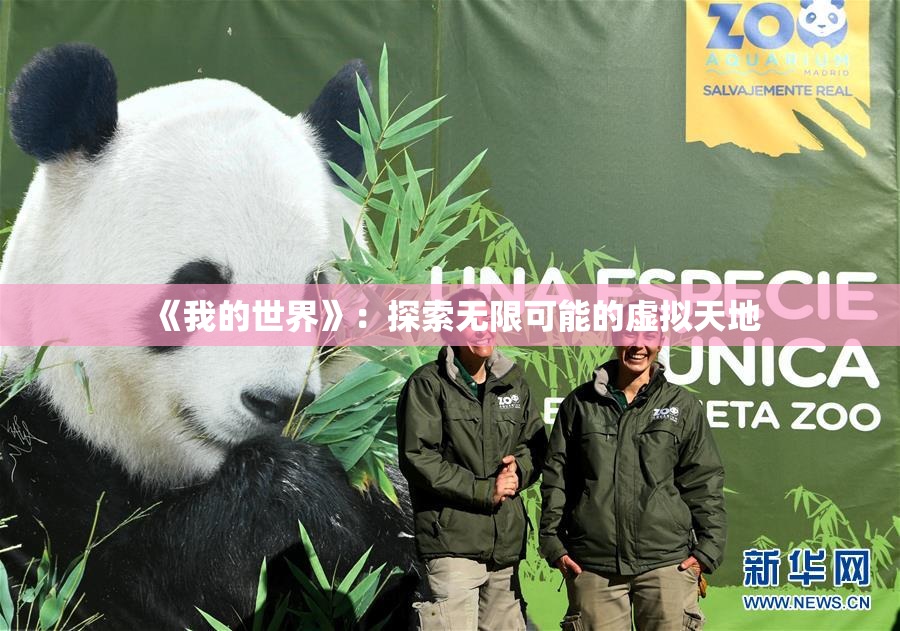 《我的世界》：探索无限可能的虚拟天地