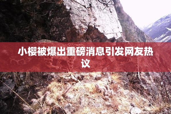 小樱被爆出重磅消息引发网友热议