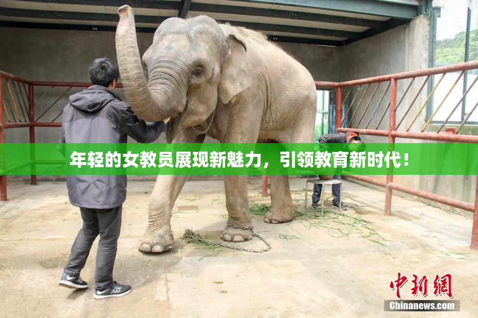年轻的女教员展现新魅力，引领教育新时代！