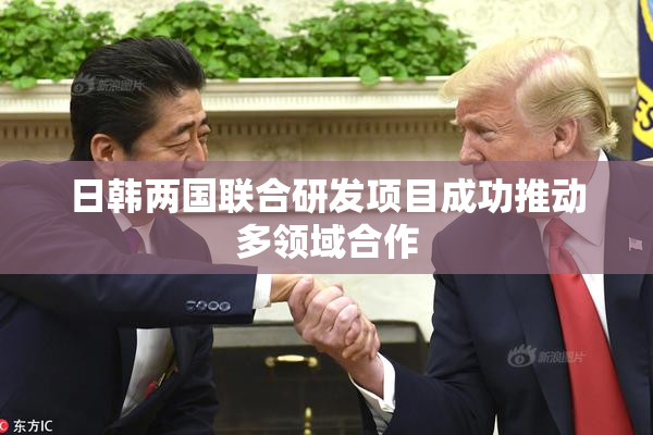 日韩两国联合研发项目成功推动多领域合作