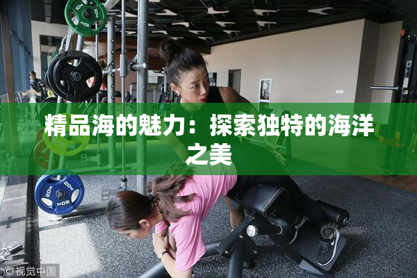 精品海的魅力：探索独特的海洋之美