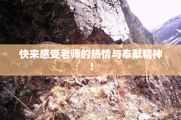 快来感受老师的热情与奉献精神！