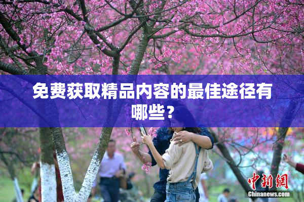 免费获取精品内容的最佳途径有哪些？