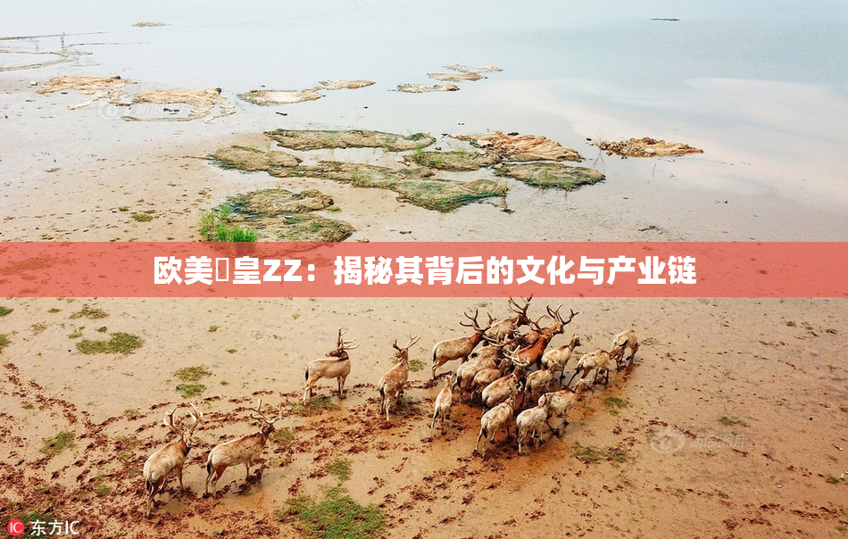欧美嘼皇ZZ：揭秘其背后的文化与产业链