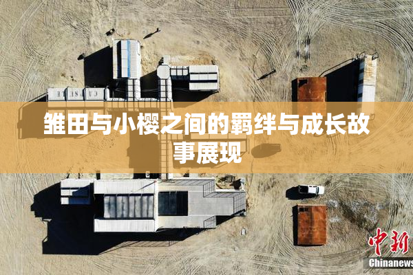 雏田与小樱之间的羁绊与成长故事展现