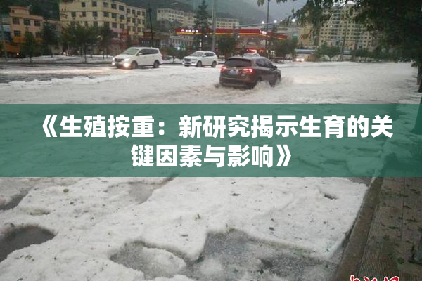《生殖按重：新研究揭示生育的关键因素与影响》