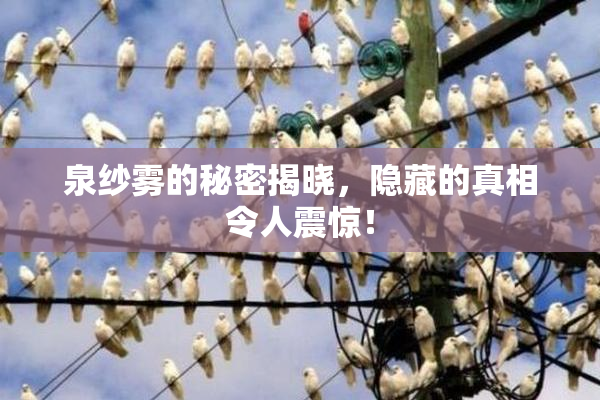 泉纱雾的秘密揭晓，隐藏的真相令人震惊！