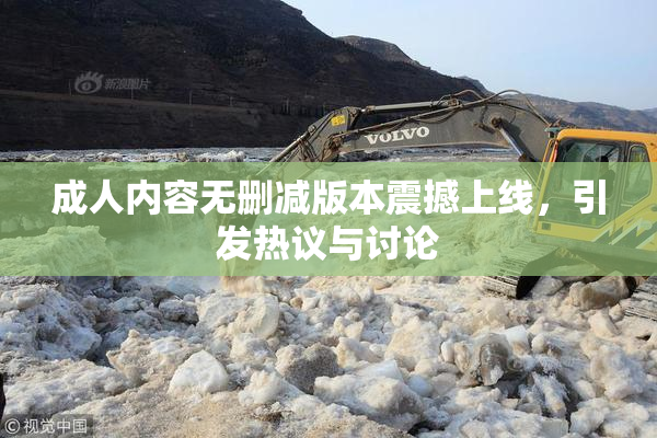 成人内容无删减版本震撼上线，引发热议与讨论