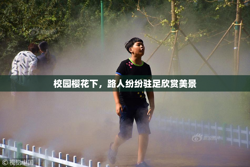 校园樱花下，路人纷纷驻足欣赏美景