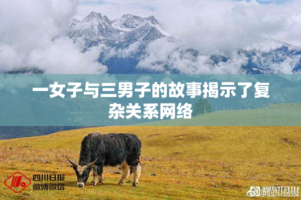 一女子与三男子的故事揭示了复杂关系网络