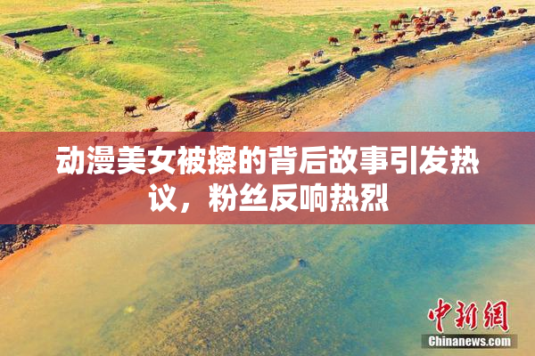 动漫美女被擦的背后故事引发热议，粉丝反响热烈