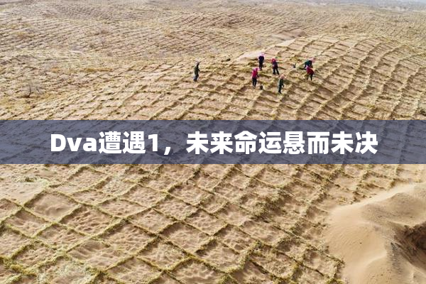 Dva遭遇1，未来命运悬而未决