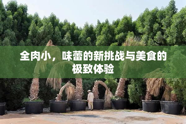 全肉小，味蕾的新挑战与美食的极致体验