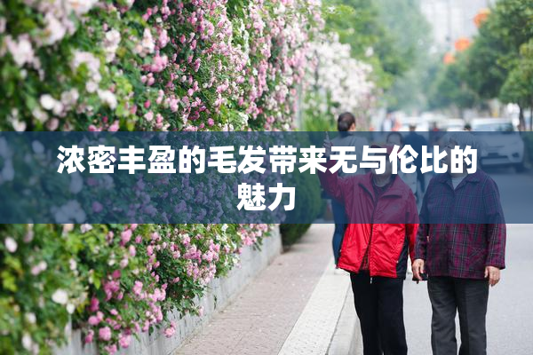 浓密丰盈的毛发带来无与伦比的魅力