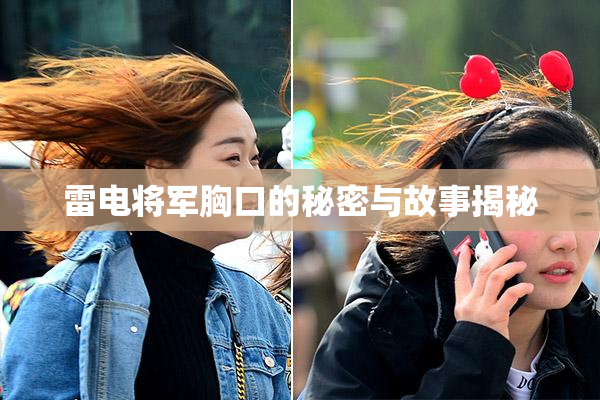 雷电将军胸口的秘密与故事揭秘
