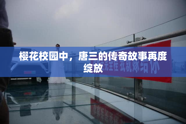 樱花校园中，唐三的传奇故事再度绽放