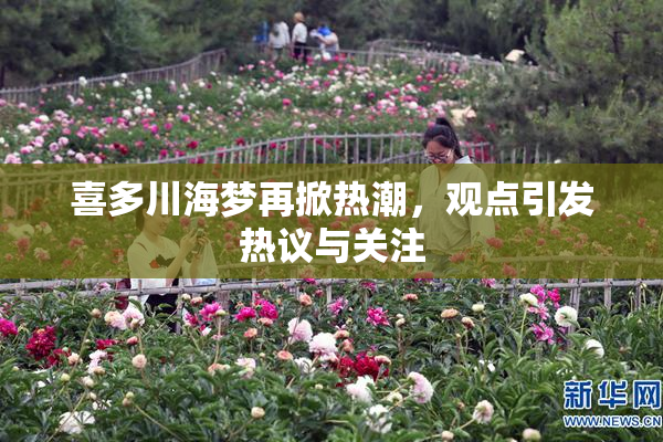 喜多川海梦再掀热潮，观点引发热议与关注