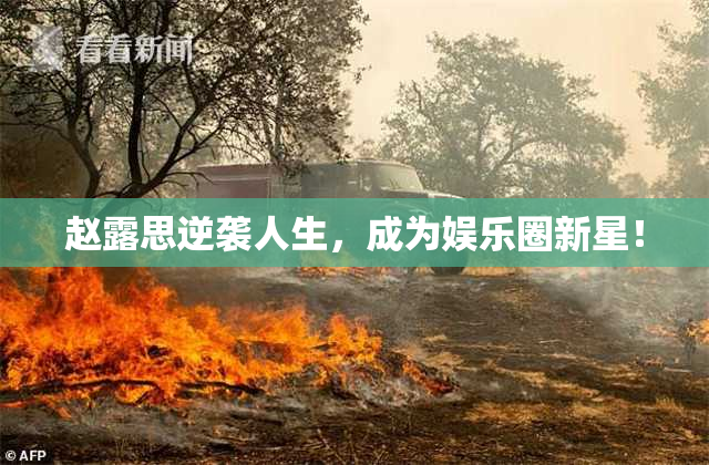 赵露思逆袭人生，成为娱乐圈新星！