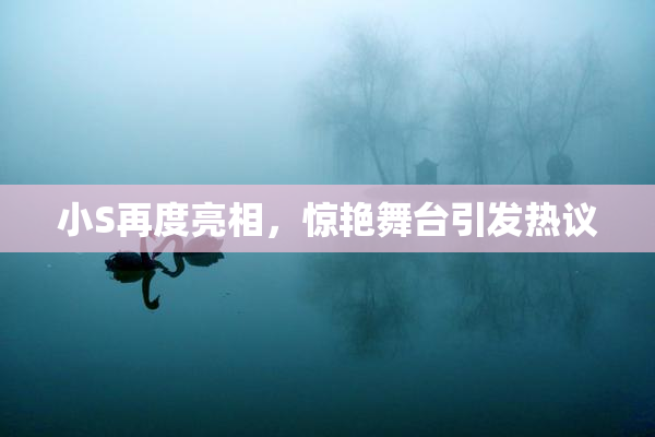 小S再度亮相，惊艳舞台引发热议