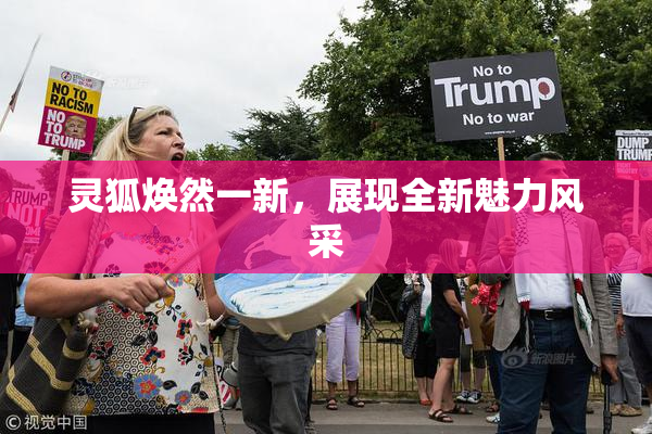 灵狐焕然一新，展现全新魅力风采