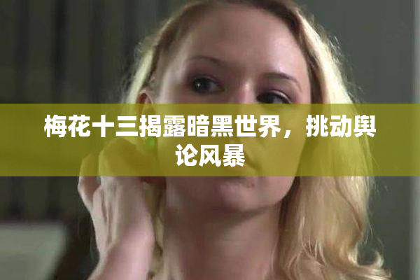 梅花十三揭露暗黑世界，挑动舆论风暴
