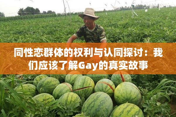 同性恋群体的权利与认同探讨：我们应该了解Gay的真实故事