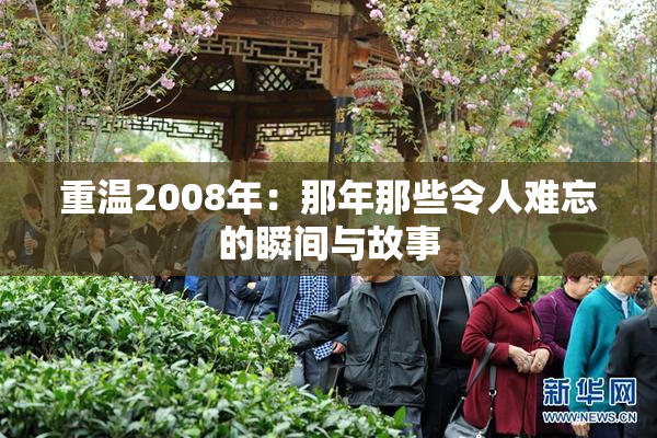 重温2008年：那年那些令人难忘的瞬间与故事