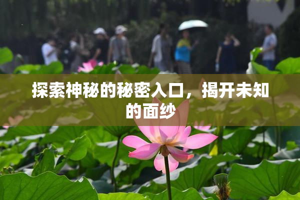 探索神秘的秘密入口，揭开未知的面纱