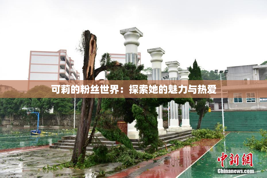 可莉的粉丝世界：探索她的魅力与热爱