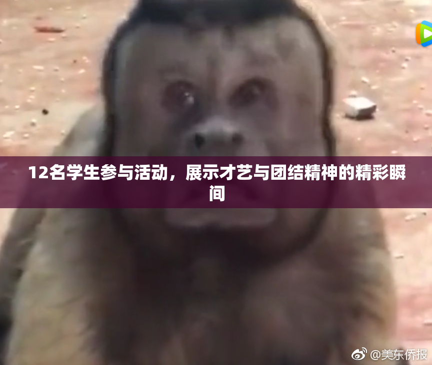 12名学生参与活动，展示才艺与团结精神的精彩瞬间