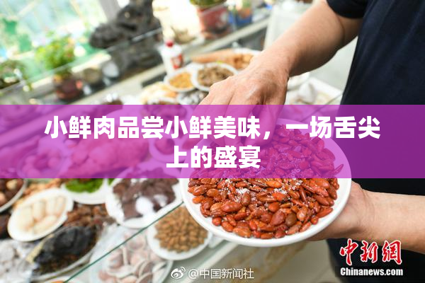 小鲜肉品尝小鲜美味，一场舌尖上的盛宴