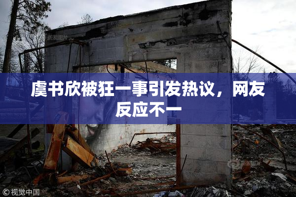虞书欣被狂一事引发热议，网友反应不一