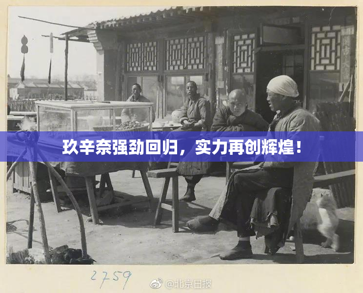 玖辛奈强劲回归，实力再创辉煌！
