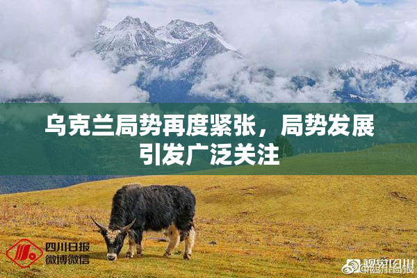 乌克兰局势再度紧张，局势发展引发广泛关注