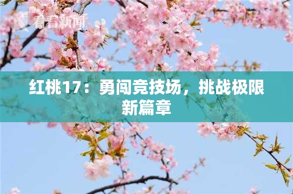 红桃17：勇闯竞技场，挑战极限新篇章